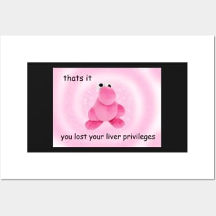 thats it You Lost Your Liver Privileges meme, funny memes Posters and Art